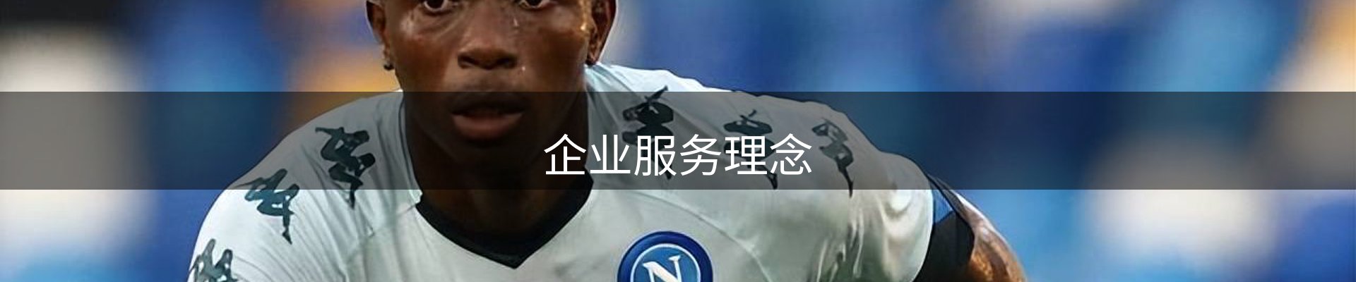 企业服务理念