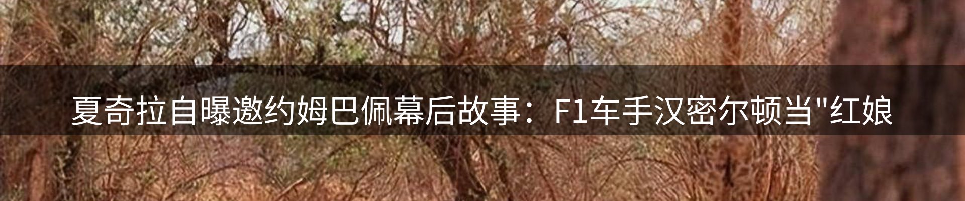 今日资讯