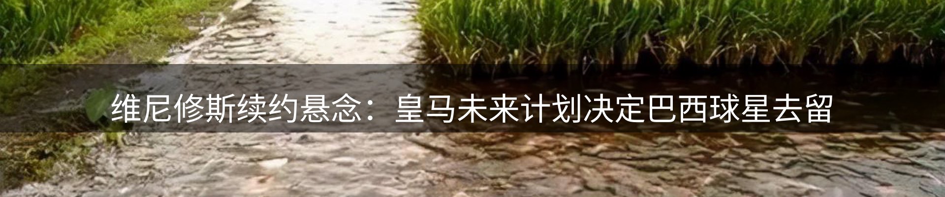 今日资讯
